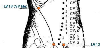 lv 13 acupuncture point.